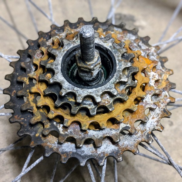 Cassette from bike after one week in Buffalo