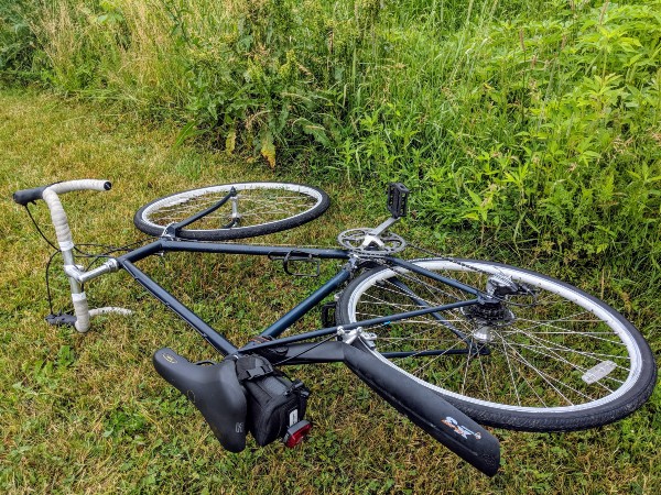 Seymour Schwinn on the grass