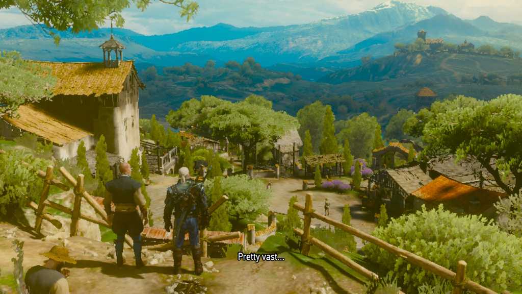 Image from Witcher 3 on Switch: Geralt looks at his vineyard and says, "Pretty vast..."