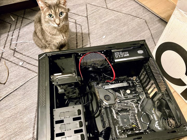 Gray cat in front of opened PC case
